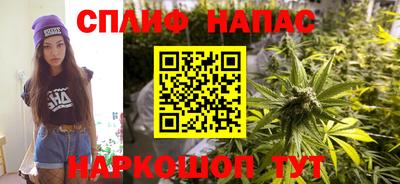 стафф Будённовск