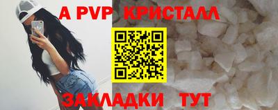 стафф Будённовск